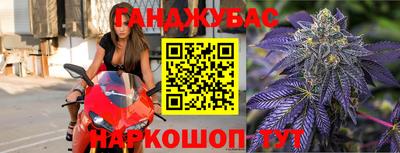 стаф Шахты