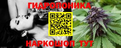 стаф Шахты