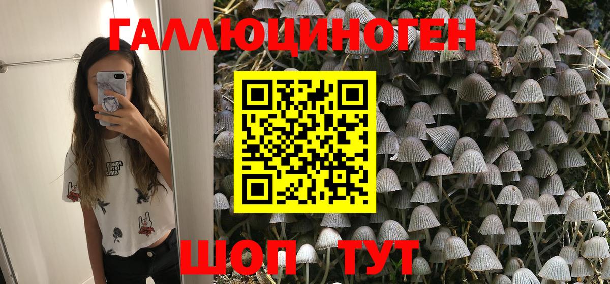 Галлюциногенные грибы GOLDEN TEACHER Анжеро-Судженск