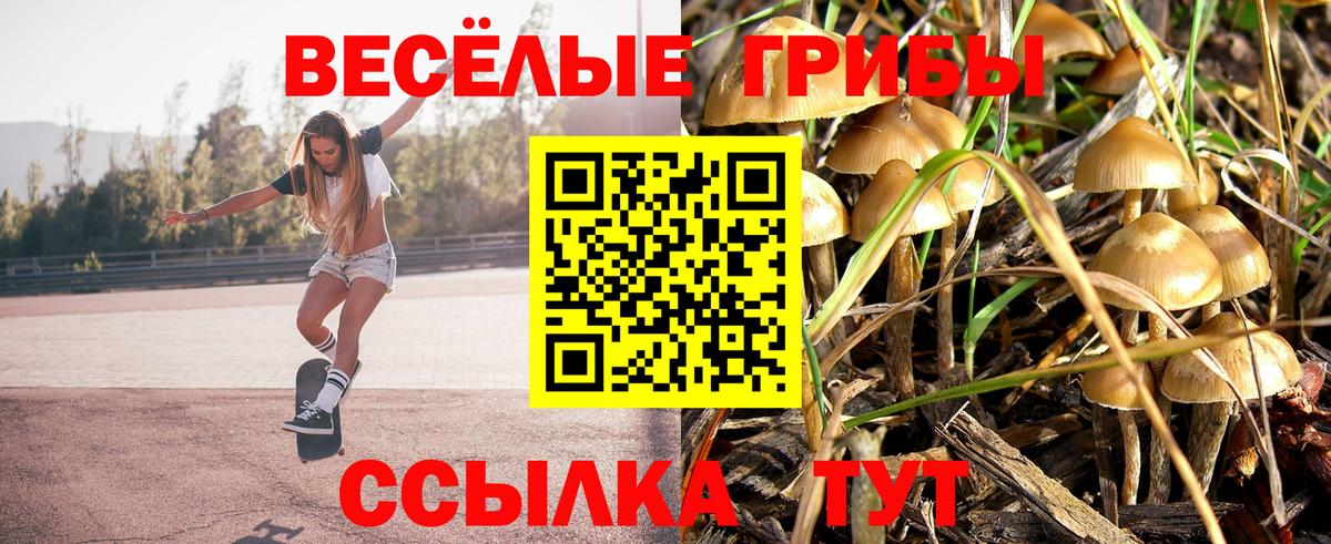 Анжеро-Судженск  Псилоцибиновые грибы прущие грибы  Галлюциногенные грибы GOLDEN TEACHER  Вход с VPN 